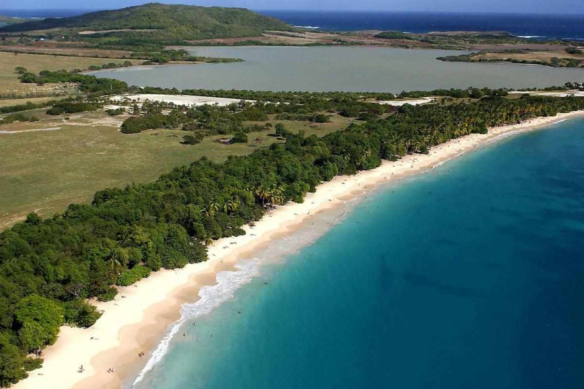 Holidays In Martinique - Ravenala Сент-Анн Экстерьер фото