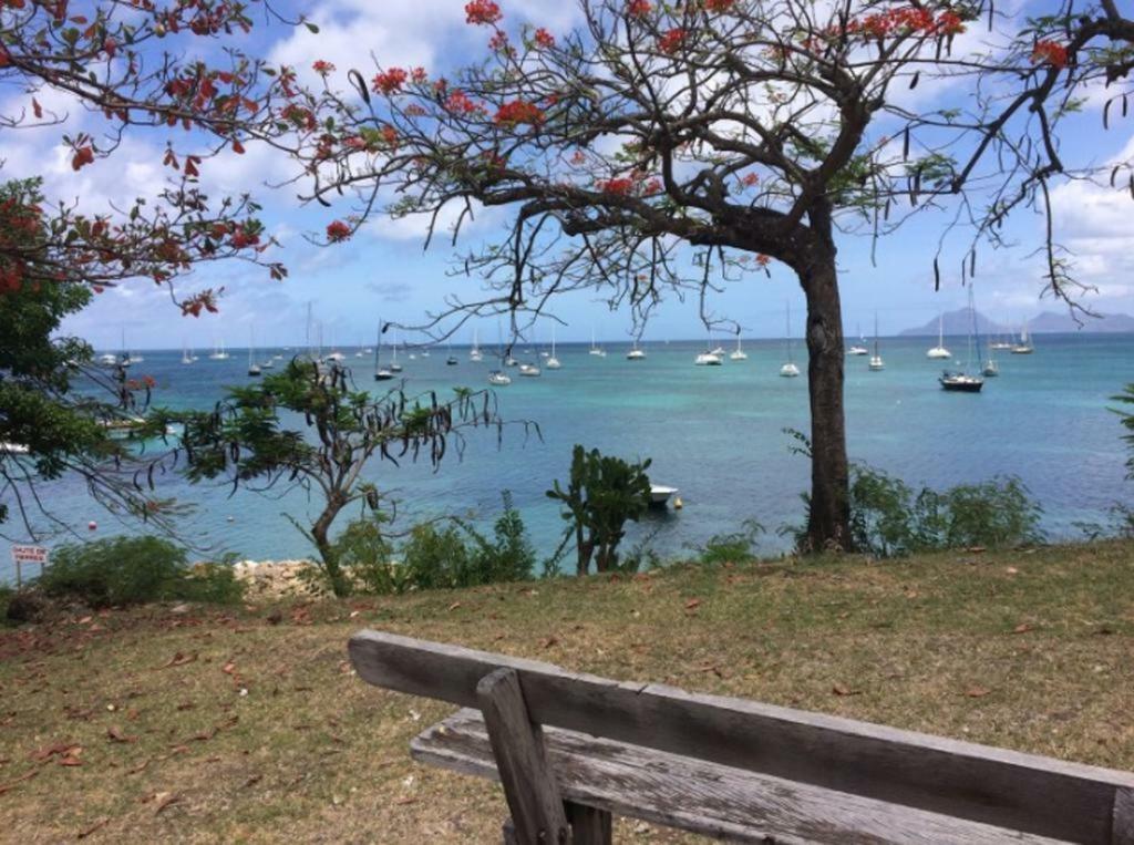 Holidays In Martinique - Ravenala Сент-Анн Экстерьер фото
